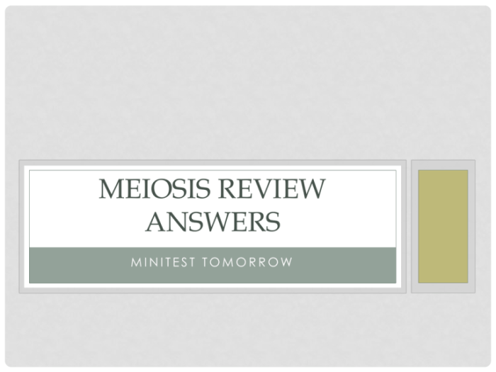 Oh me oh my oh meiosis answer key