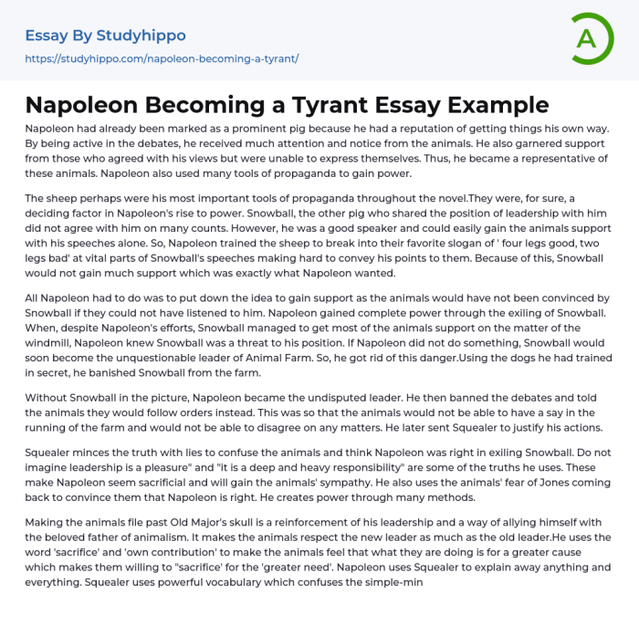 Napoleon hero or tyrant essay