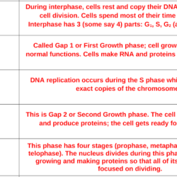 Oh me oh my oh meiosis answer key