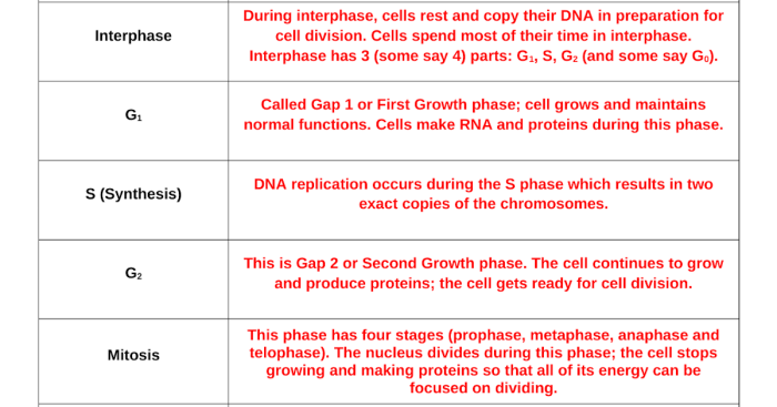 Oh me oh my oh meiosis answer key