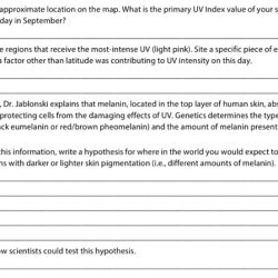 Human skin color evidence for selection worksheet answer key