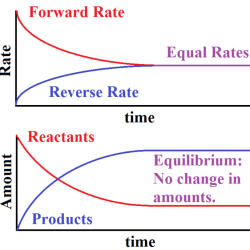 Worksheet reaction rates equilibrium chemical multiple choice